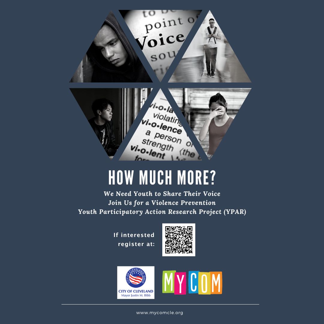 YPAR Violence Prevention Initiative